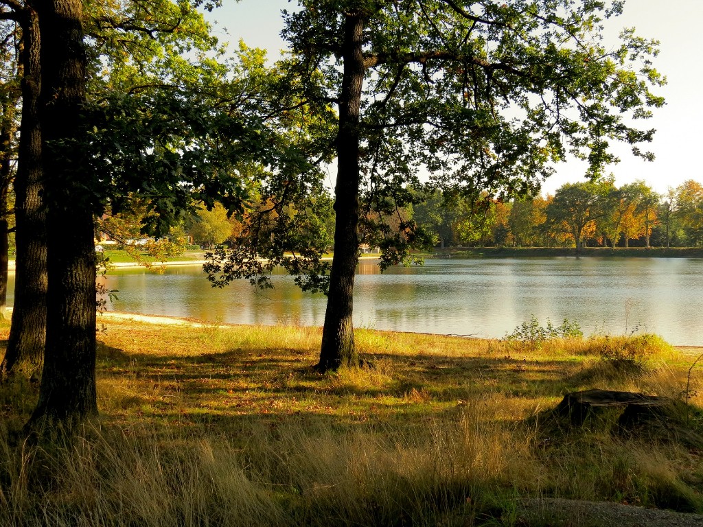 A beautiful land in Jefferson County, NY